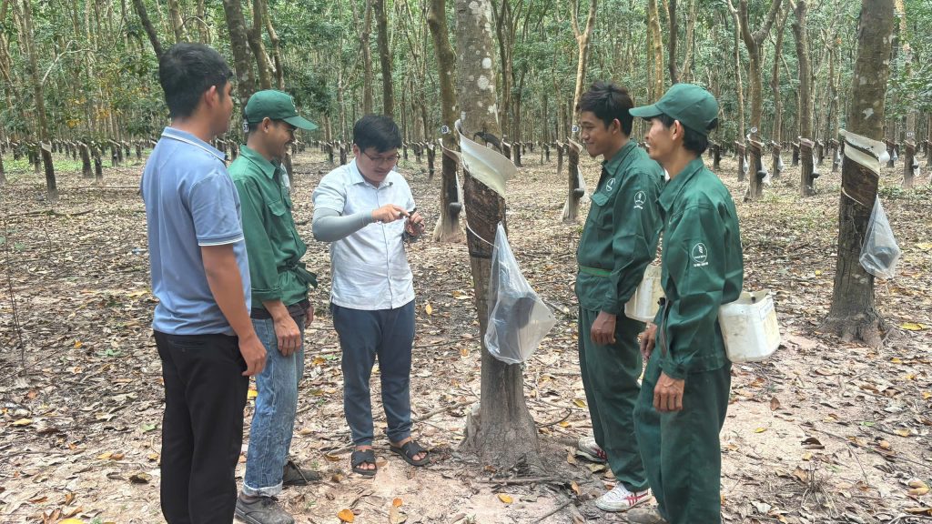 Các công ty Câu lạc bộ 2 tấn tại Campuchia: Thực hiện nhiều yếu tố đồng bộ, xuyên suốt